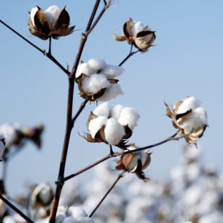 Matelas relaxation NATURE en latex naturel pour lit articulé